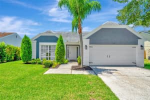 3062 SUMNER WAY, PALM HARBOR, FL 34684 Sold 10/20/24