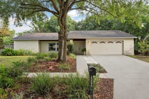 15506 WETSTONE DRIVE, TAMPA, FL 33613 Sold 11/21/24