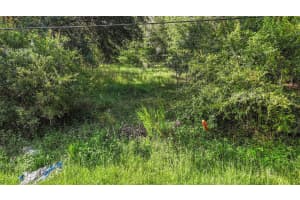26148 FOAMFLOWER BOULEVARD, WESLEY CHAPEL, FL 33544 Sold 08/19/25