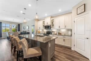 34315 RADLEY WAY, WESLEY CHAPEL, FL 33545 Sold 09/30/24