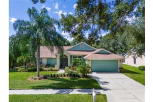 10309 ASHLEY OAKS DRIVE, RIVERVIEW, FL 33578 Sold 10/18/24