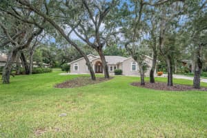7288 ROYAL OAK DRIVE, SPRING HILL, FL 34607 Sold 10/18/24