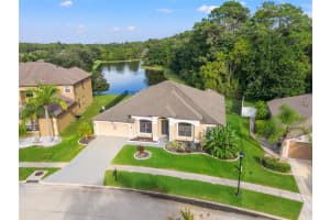 10918 RAIN LILLY PASS, LAND O LAKES, FL 34638 Sold 03/14/25