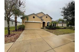 2928 SHETLAND RIDGE DRIVE, VALRICO, FL 33596 Sold 01/06/25