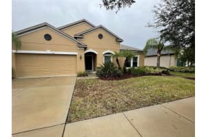 2928 SHETLAND RIDGE DRIVE, VALRICO, FL 33596 Sold 01/06/25