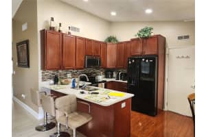 1205 WINDHORST RIDGE DRIVE, BRANDON, FL 33510 Sold 04/14/25