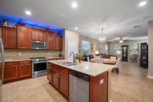 9043 ASPEN HOLLOW PLACE, RIVERVIEW, FL 33578 Sold 12/18/24