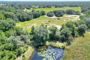 PFUNDSTEIN RD, LAKE WALES, FL 33898 - MLS#MFRT3552251