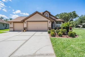 12406 DANBY COURT, TAMPA, FL 33626 Sold 12/09/24
