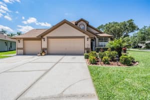 12406 DANBY COURT, TAMPA, FL 33626 Sold 12/09/24