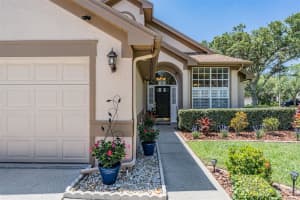 12406 DANBY COURT, TAMPA, FL 33626 Sold 12/09/24