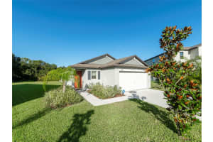 12102 MIRACLE MILE DRIVE, RIVERVIEW, FL 33578 Sold 10/29/24