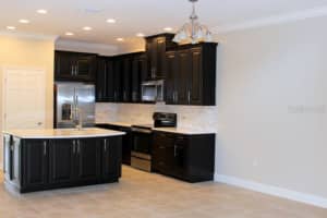 8733 TERRACINA LAKE DRIVE, TAMPA, FL 33625 - MLS#MFRT3552398