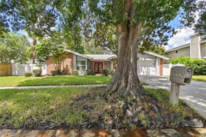 15619 BEAR CREEK DRIVE, TAMPA, FL 33624 Sold 11/18/24