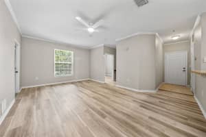 9918 COURTNEY PALMS BOULEVARD, TAMPA, FL 33619 Sold 10/15/24