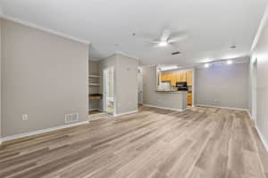 9918 COURTNEY PALMS BOULEVARD, TAMPA, FL 33619 Sold 10/15/24