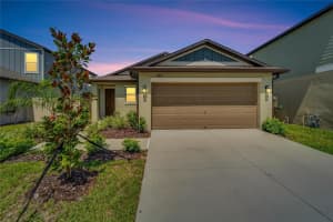 11077 FLOURISH DRIVE, LAND O LAKES, FL 34637 Sold 10/30/24