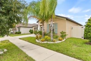 11230 SAGE CANYON DRIVE, RIVERVIEW, FL 33578 Sold 03/21/25