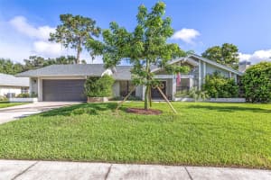 3387 TARPON WOODS BOULEVARD, PALM HARBOR, FL 34685 Sold 10/25/24