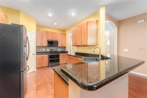10741 ROCKLEDGE VIEW DRIVE, RIVERVIEW, FL 33579 Sold 05/29/25