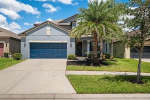 11032 PURPLE MARTIN BOULEVARD, RIVERVIEW, FL 33579 Sold 11/19/24