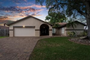 11403 COUNTRY OAKS DRIVE, TAMPA, FL 33618 Sold 12/09/24