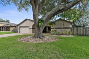 11403 COUNTRY OAKS DRIVE, TAMPA, FL 33618 Sold 12/09/24