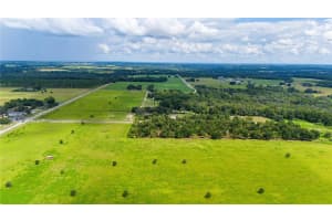 14770 CRIMSON OAKS TRAIL, DADE CITY, FL 33525 - MLS#MFRT3552846