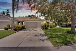 1015 Radison Lake Ct #65, SUN CITY CENTER