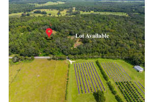 WHITMAN RD, BROOKSVILLE, FL 34601 - MLS#MFRT3552880