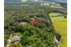 WHITMAN RD, BROOKSVILLE, FL 34601 - MLS#MFRT3552880