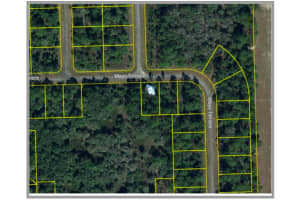 313 JAMES IRWIN TER, LABELLE, FL 33935 - MLS#MFRT3552881