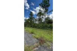 313 JAMES IRWIN TER, LABELLE, FL 33935 - MLS#MFRT3552881