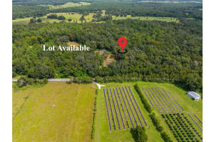 00 WHITMAN ROAD, BROOKSVILLE, FL 34601 - MLS#MFRT3552882