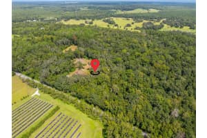 00 WHITMAN ROAD, BROOKSVILLE, FL 34601 - MLS#MFRT3552882