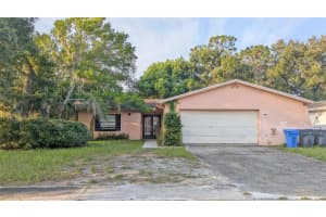4039 EASTRIDGE DRIVE, VALRICO, FL 33596 Sold 09/16/24