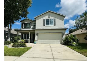 6227 DESERT PEACE AVENUE, LAND O LAKES, FL 34639 Sold 12/06/24