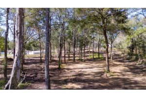 6161 LA PINE ROAD, BROOKSVILLE, FL 34602 - MLS#MFRT3552981