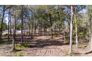 6161 LA PINE ROAD, BROOKSVILLE, FL 34602 - MLS#MFRT3552981