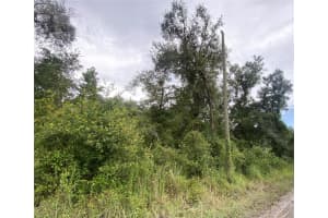OWENS DR, ZEPHYRHILLS, FL 33540 - MLS#MFRT3552982