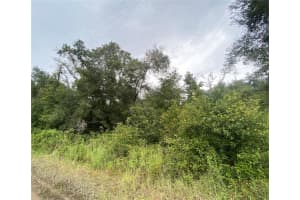 OWENS DR, ZEPHYRHILLS, FL 33540 - MLS#MFRT3552982
