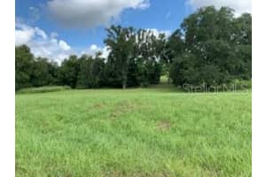 13620 CARNOUSTIE CIRCLE, DADE CITY, FL 33525 - MLS#MFRT3553060