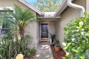 10906 CARNELIAN DRIVE, RIVERVIEW, FL 33578 Sold 02/18/25