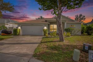 1839 Sunrise Dunes Ct, TARPON SPRINGS