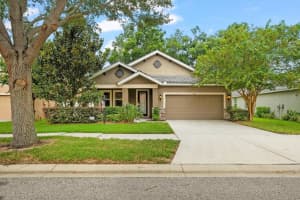 3005 MAPLE SHADE PLACE, SEFFNER, FL 33584 Sold 03/31/25