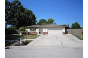 7729 JODI LYNN DRIVE, TAMPA, FL 33615 Sold 12/26/24