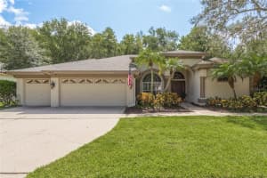 4470 FALLBROOK BOULEVARD, PALM HARBOR, FL 34685 Sold 10/31/24