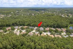 4470 FALLBROOK BOULEVARD, PALM HARBOR, FL 34685 Sold 10/31/24