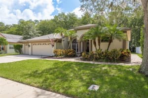 4470 FALLBROOK BOULEVARD, PALM HARBOR, FL 34685 Sold 10/31/24