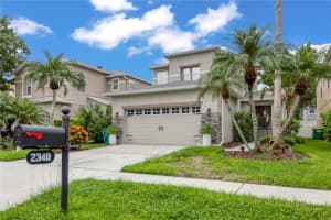 2348 SILVERMOSS DRIVE, WESLEY CHAPEL, FL 33544 Sold 07/01/25